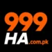 999ha game